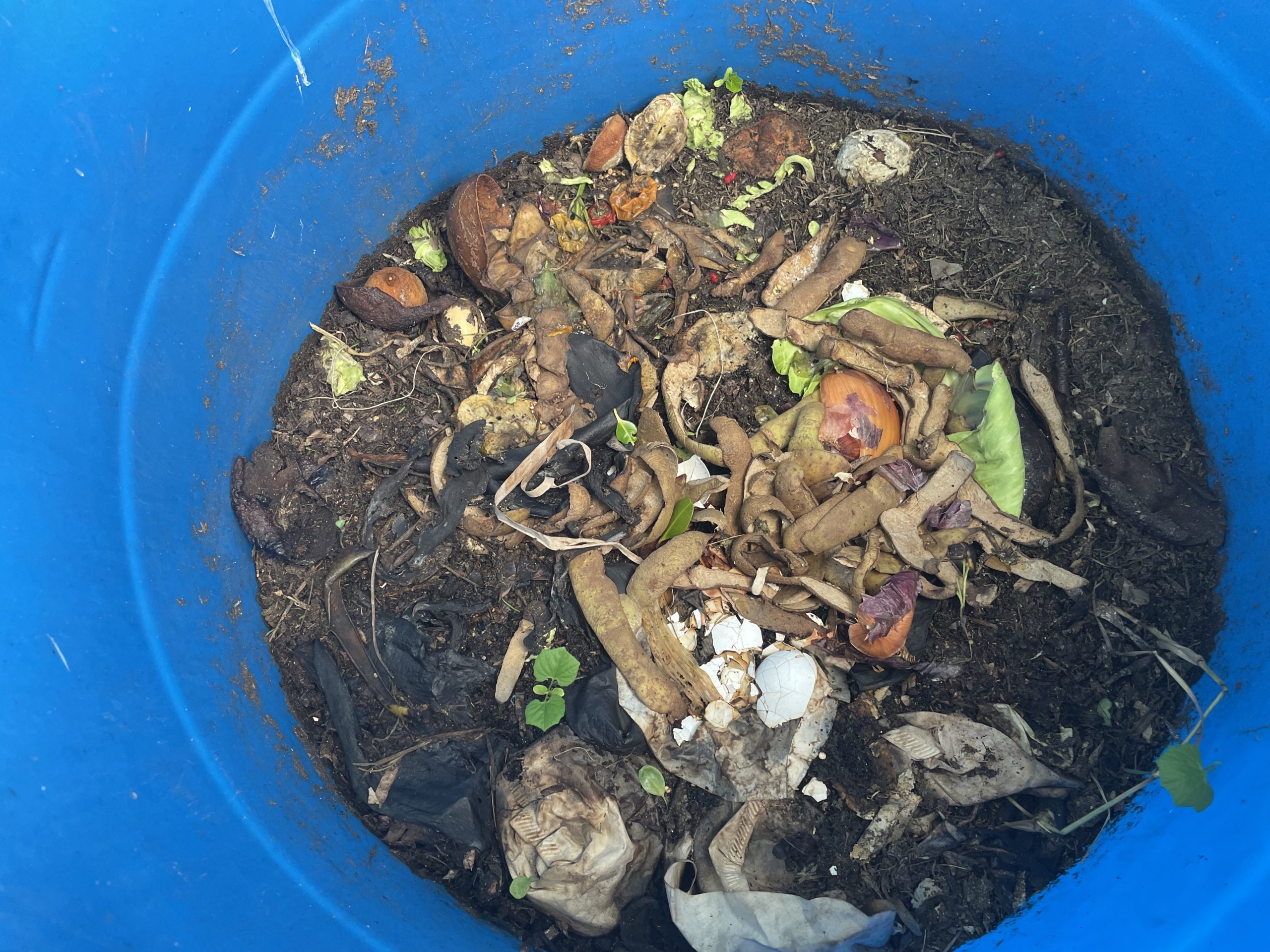 Introducing: Pay with TopUps. Simplifying Payments Across the Bahama Ventures Network